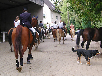 Pferdesegnung 2006